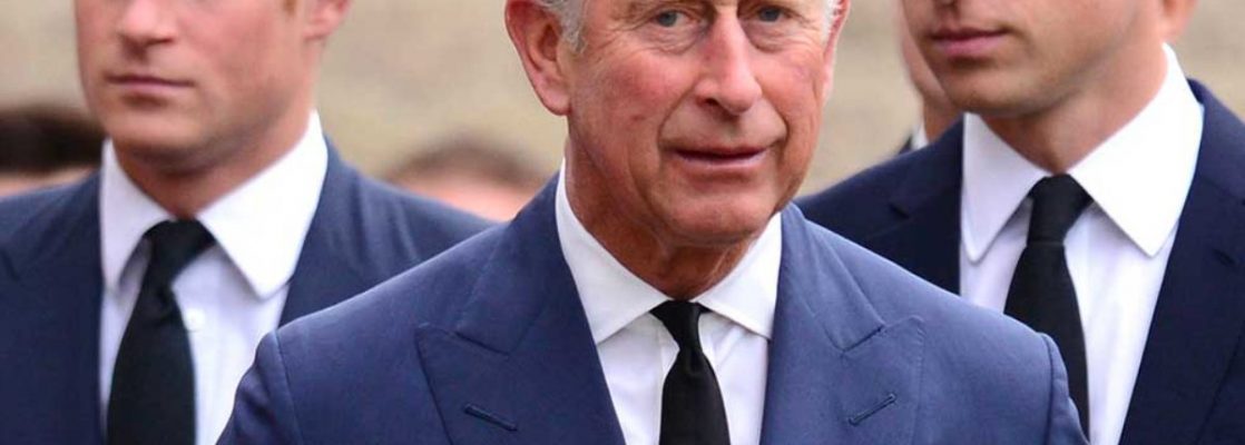 Princes William et Harry, charles @ Histoires Royales