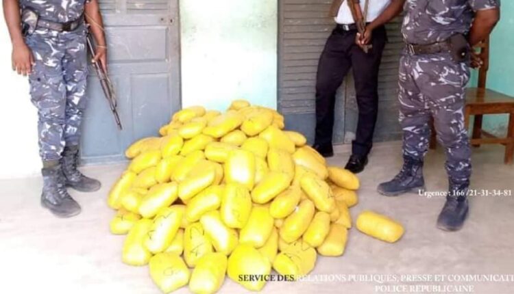 chanvre indien, drogue,