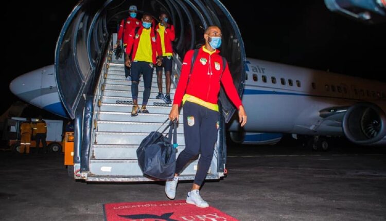 Écureuil du Bénin en RDC