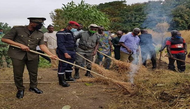 Bénin interdiction de l'allumage des feux de brousse dans tous les départements du pays