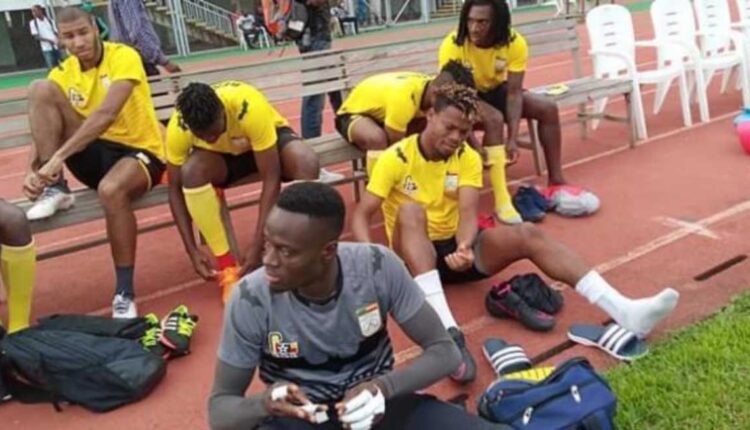 Les Écureuils Du Bénin