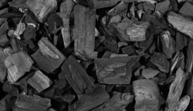 bienfaits du charbon de bois