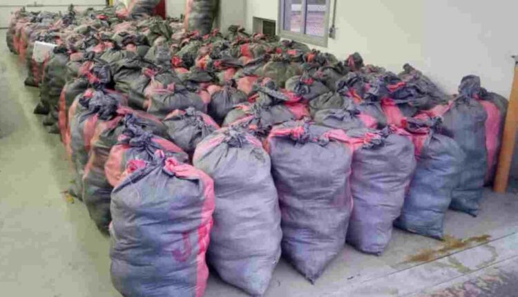 saisie record de six tonnes de cannabis