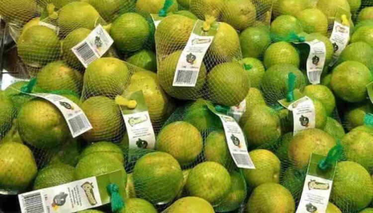 Orana Farms avec Plus de 100 000 hectares de plantations d'oranges, de mangues....