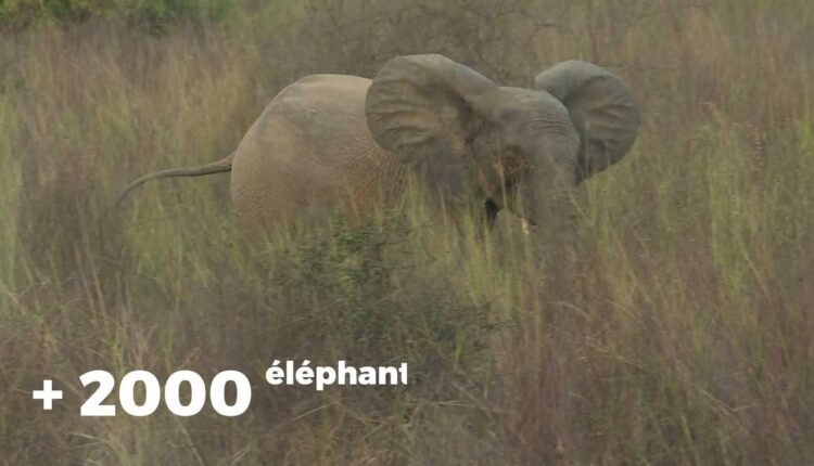 African Parks Bénin